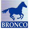 BRONCO MODELS logo