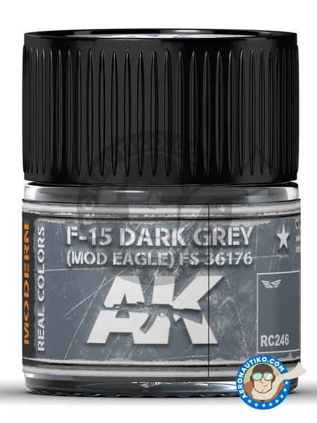 Color gris oscuro FS 36173. | Real color fabricado por AK Interactive (ref. RC246) image