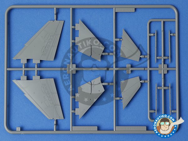 Image 2: Mirage F.1 Duo Pack & Book. | Airplane kit in 1/72 scale manufactured by Special Hobby (ref. SH72414) Image 2: Mirage F.1 Duo Pack & Book. | Airplane kit in 1/72 scale manufactured by Special Hobby (ref. SH72414)