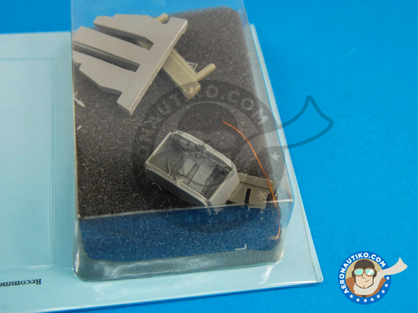 Image 3: North American F-100 Super Sabre C / D | Wheel bay in 1/72 scale manufactured by Aires (ref. AIRES-7279)