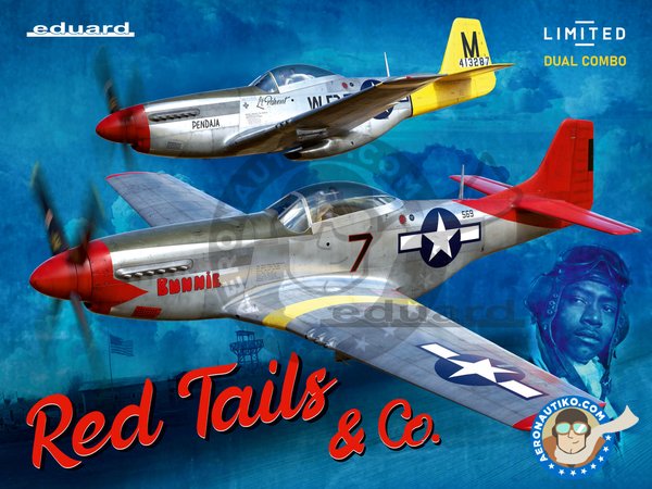 Image 1: REC TAILS & CO  Dual combo (limited ed.) | Airplane kit in 1/48 scale manufactured by Eduard (ref. 11159)