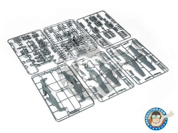 Image 3: REC TAILS & CO  Dual combo (limited ed.) | Airplane kit in 1/48 scale manufactured by Eduard (ref. 11159)
