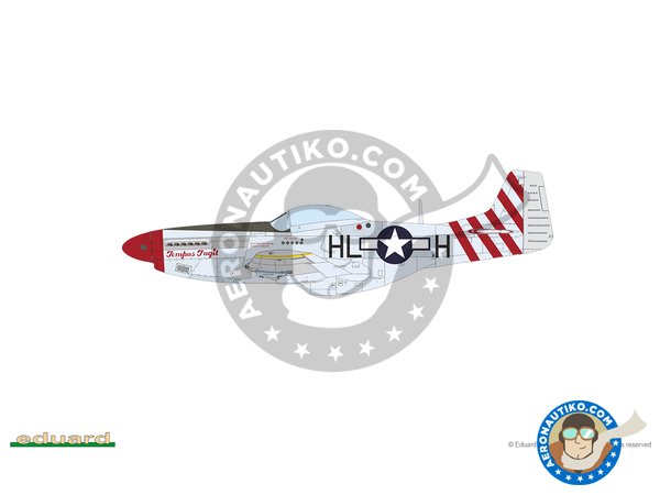 Image 14: REC TAILS & CO  Dual combo (limited ed.) | Airplane kit in 1/48 scale manufactured by Eduard (ref. 11159)