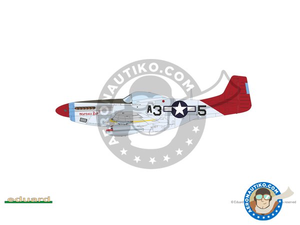 Image 15: REC TAILS & CO  Dual combo (limited ed.) | Airplane kit in 1/48 scale manufactured by Eduard (ref. 11159)