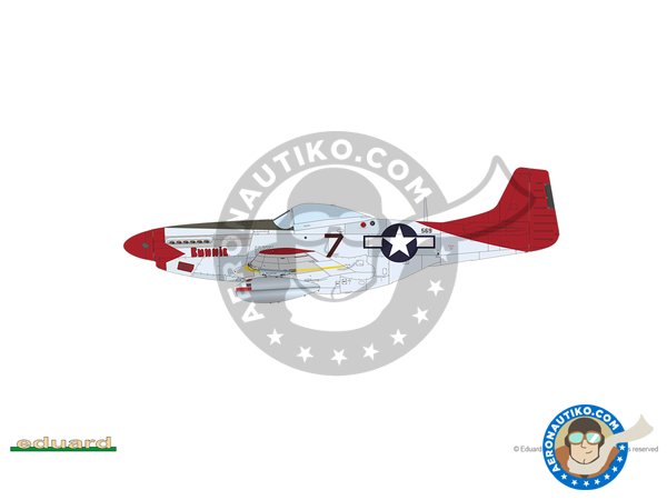 Image 16: REC TAILS & CO  Dual combo (limited ed.) | Airplane kit in 1/48 scale manufactured by Eduard (ref. 11159)