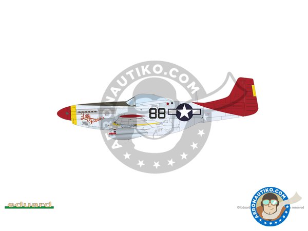 Image 17: REC TAILS & CO  Dual combo (limited ed.) | Airplane kit in 1/48 scale manufactured by Eduard (ref. 11159)