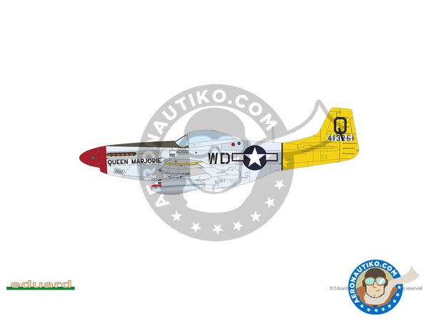 Image 20: REC TAILS & CO  Dual combo (limited ed.) | Airplane kit in 1/48 scale manufactured by Eduard (ref. 11159)