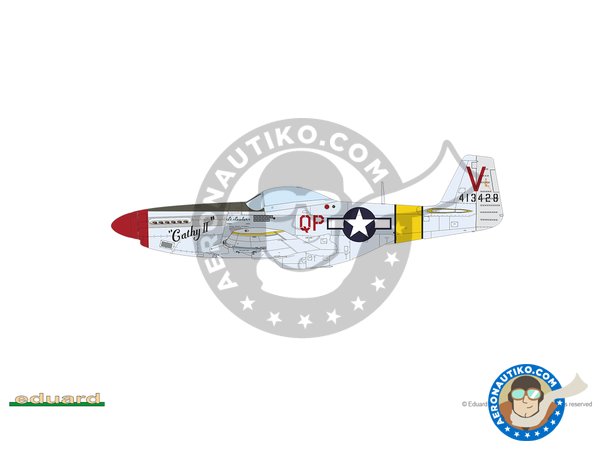 Image 21: REC TAILS & CO  Dual combo (limited ed.) | Airplane kit in 1/48 scale manufactured by Eduard (ref. 11159)