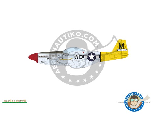 Image 22: REC TAILS & CO  Dual combo (limited ed.) | Airplane kit in 1/48 scale manufactured by Eduard (ref. 11159)