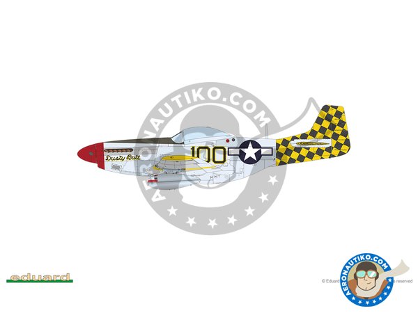 Image 23: REC TAILS & CO  Dual combo (limited ed.) | Airplane kit in 1/48 scale manufactured by Eduard (ref. 11159)