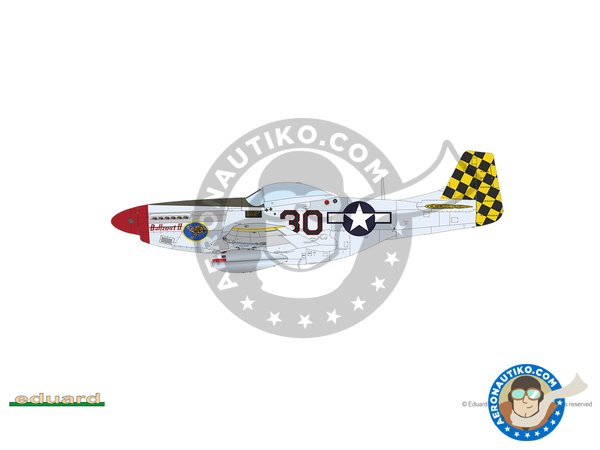 Image 24: REC TAILS & CO  Dual combo (limited ed.) | Airplane kit in 1/48 scale manufactured by Eduard (ref. 11159)