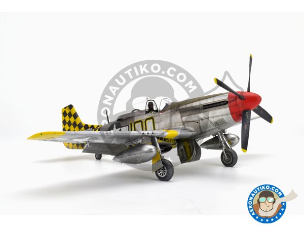 Image 27: REC TAILS & CO  Dual combo (limited ed.) | Airplane kit in 1/48 scale manufactured by Eduard (ref. 11159)