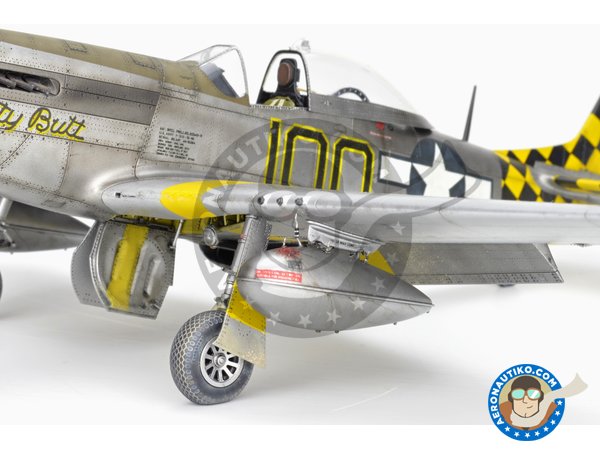 Image 29: REC TAILS & CO  Dual combo (limited ed.) | Airplane kit in 1/48 scale manufactured by Eduard (ref. 11159)
