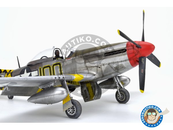 Image 30: REC TAILS & CO  Dual combo (limited ed.) | Airplane kit in 1/48 scale manufactured by Eduard (ref. 11159)
