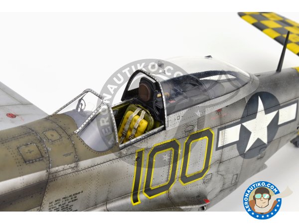 Image 31: REC TAILS & CO  Dual combo (limited ed.) | Airplane kit in 1/48 scale manufactured by Eduard (ref. 11159)