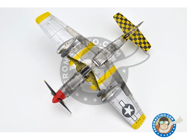 Image 34: REC TAILS & CO  Dual combo (limited ed.) | Airplane kit in 1/48 scale manufactured by Eduard (ref. 11159)