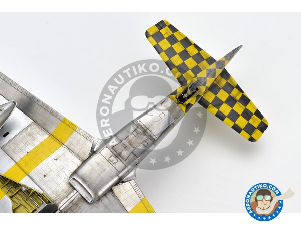 Image 35: REC TAILS & CO  Dual combo (limited ed.) | Airplane kit in 1/48 scale manufactured by Eduard (ref. 11159)