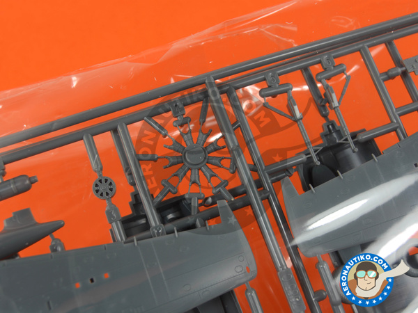 Image 5: Grumman F6F Hellcat 5 | Airplane kit in 1/72 scale manufactured by Eduard (ref. 7434)