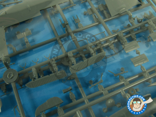 Image 4: Focke-Wulf Fw 190 Würger A-8 | Airplane kit in 1/72 scale manufactured by Eduard (ref. 7435)