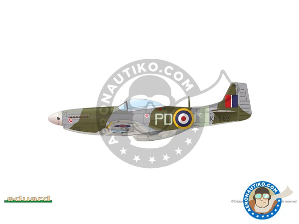 Image 12: Mustang Mk.IV (RAF) | Airplane kit in 1/48 scale manufactured by Eduard (ref. 82104)