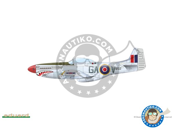 Image 13: Mustang Mk.IV (RAF) | Airplane kit in 1/48 scale manufactured by Eduard (ref. 82104)