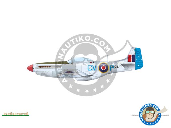 Image 14: Mustang Mk.IV (RAF) | Airplane kit in 1/48 scale manufactured by Eduard (ref. 82104)