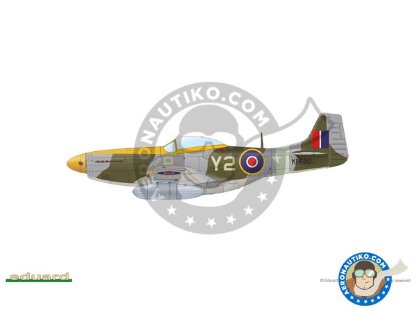 Image 17: Mustang Mk.IV (RAF) | Airplane kit in 1/48 scale manufactured by Eduard (ref. 82104)