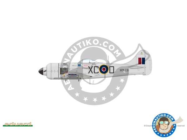 Image 41: Hawker "Tempest" Mk.II (Early version) | Airplane kit in 1/48 scale manufactured by Eduard (ref. 82124)