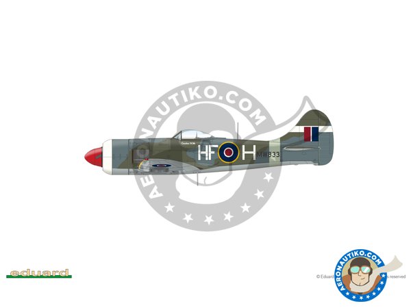Image 42: Hawker "Tempest" Mk.II (Early version) | Airplane kit in 1/48 scale manufactured by Eduard (ref. 82124)