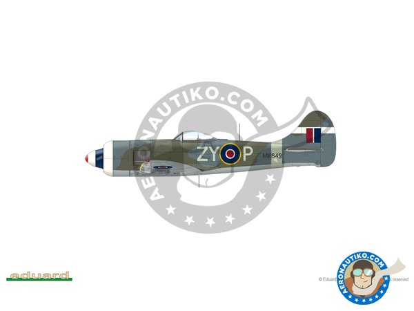 Image 43: Hawker "Tempest" Mk.II (Early version) | Airplane kit in 1/48 scale manufactured by Eduard (ref. 82124)