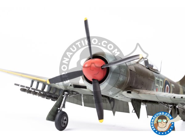 Image 49: Hawker "Tempest" Mk.II (Early version) | Airplane kit in 1/48 scale manufactured by Eduard (ref. 82124)