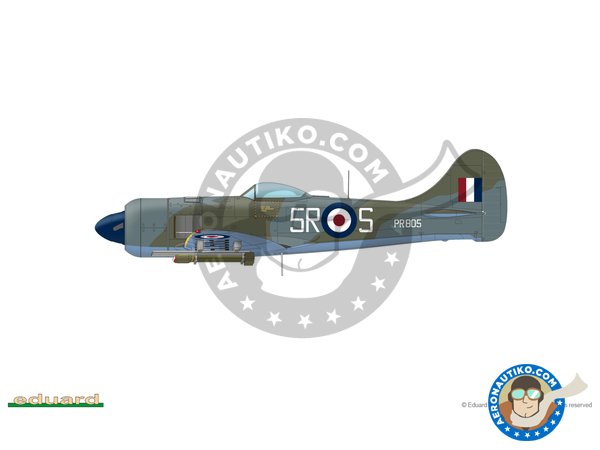Image 2: Tempest MK.II (late version) | Airplane kit in 1/48 scale manufactured by Eduard (ref. 82125)