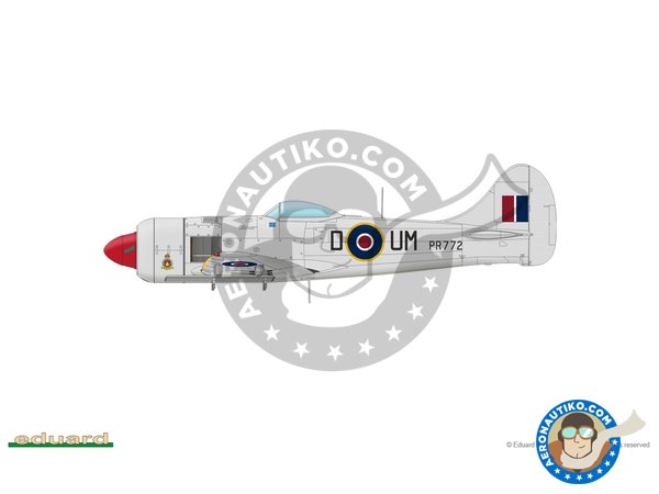 Image 3: Tempest MK.II (late version) | Airplane kit in 1/48 scale manufactured by Eduard (ref. 82125)
