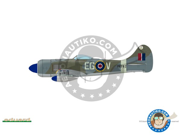 Image 5: Tempest MK.II (late version) | Airplane kit in 1/48 scale manufactured by Eduard (ref. 82125)