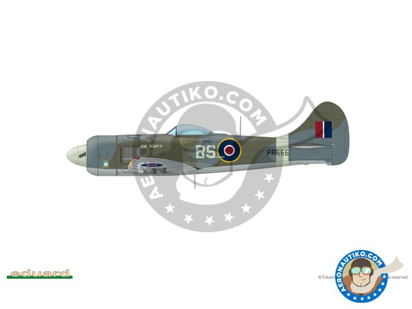 Image 6: Tempest MK.II (late version) | Airplane kit in 1/48 scale manufactured by Eduard (ref. 82125)
