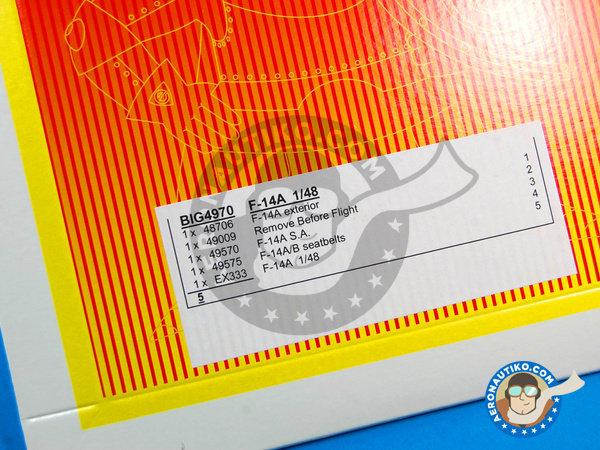 Image 1: Grumman F-14 Tomcat A | Big ED set en escala 1/48 fabricado por Eduard (ref. EDBIG4970)