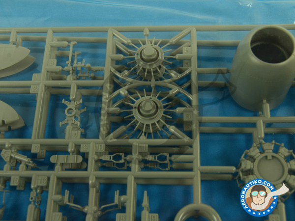 Image 5: Northrop P-61 Black Widow A Glass Nose | Airplane kit in 1/48 scale manufactured by Great Wall Hobby (ref. L4806)