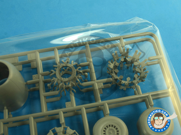 Image 6: Northrop P-61 Black Widow A Glass Nose | Airplane kit in 1/48 scale manufactured by Great Wall Hobby (ref. L4806)