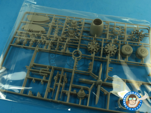 Image 7: Northrop P-61 Black Widow A Glass Nose | Airplane kit in 1/48 scale manufactured by Great Wall Hobby (ref. L4806)