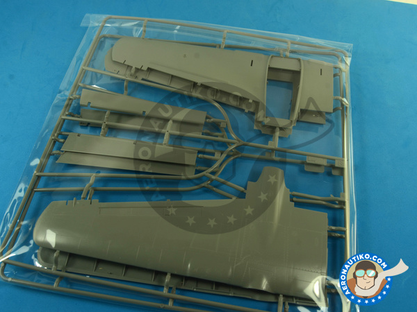 Image 8: Northrop P-61 Black Widow A Glass Nose | Airplane kit in 1/48 scale manufactured by Great Wall Hobby (ref. L4806)