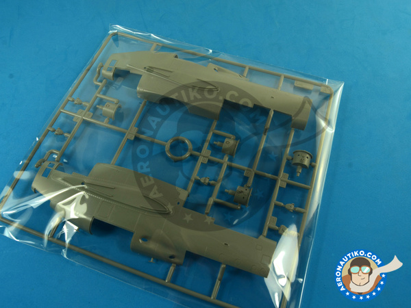 Image 10: Northrop P-61 Black Widow A Glass Nose | Airplane kit in 1/48 scale manufactured by Great Wall Hobby (ref. L4806)