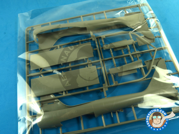 Image 11: Northrop P-61 Black Widow A Glass Nose | Airplane kit in 1/48 scale manufactured by Great Wall Hobby (ref. L4806)