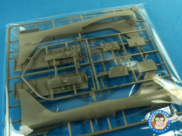 Image 12: Northrop P-61 Black Widow A Glass Nose | Airplane kit in 1/48 scale manufactured by Great Wall Hobby (ref. L4806)