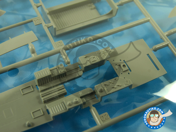 Image 4: Douglas TBD Devastator 1a Floatplane | Airplane kit in 1/48 scale manufactured by Great Wall Hobby (ref. L4812)