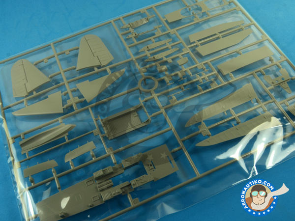 Image 5: Douglas TBD Devastator 1a Floatplane | Airplane kit in 1/48 scale manufactured by Great Wall Hobby (ref. L4812)