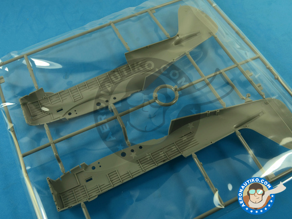 Image 6: Douglas TBD Devastator 1a Floatplane | Airplane kit in 1/48 scale manufactured by Great Wall Hobby (ref. L4812)