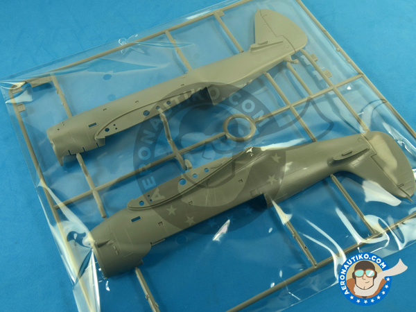 Image 7: Douglas TBD Devastator 1a Floatplane | Airplane kit in 1/48 scale manufactured by Great Wall Hobby (ref. L4812)