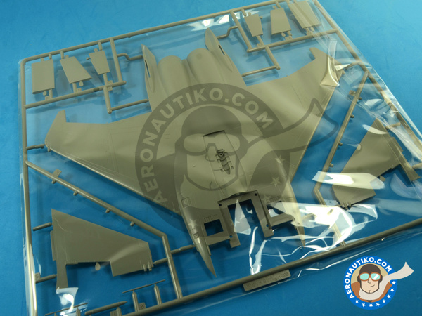 Image 1: McDonnell Douglas F-15 Eagle B / D | Airplane kit in 1/48 scale manufactured by Great Wall Hobby (ref. L4815)