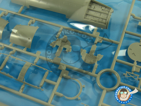 Image 2: McDonnell Douglas F-15 Eagle B / D | Airplane kit in 1/48 scale manufactured by Great Wall Hobby (ref. L4815)