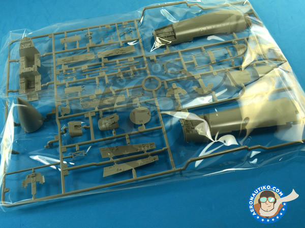 Image 5: McDonnell Douglas F-15 Eagle B / D | Airplane kit in 1/48 scale manufactured by Great Wall Hobby (ref. L4815)